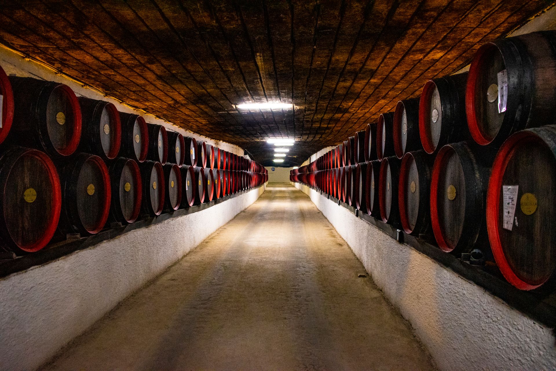 Egetræsfade i et vinlager